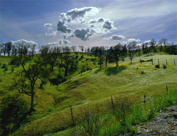elk creek, spring 2009